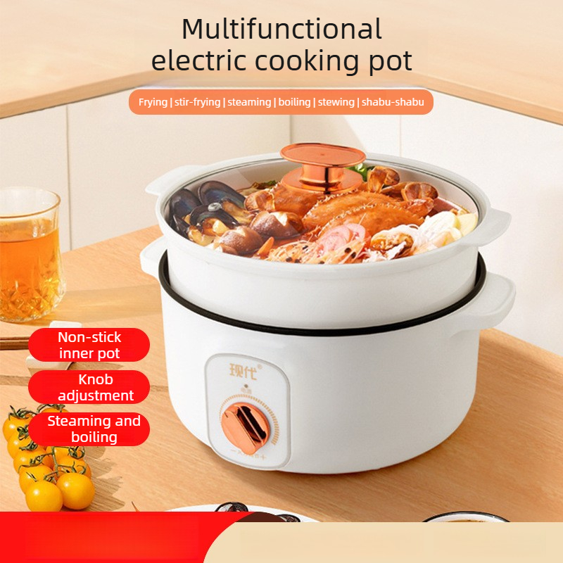 Multifunctionele mini elektris - Home Cooking Appliances recensie en prijs