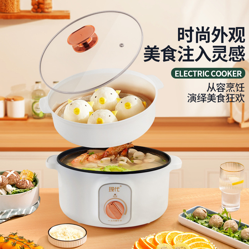 Multifunctionele mini elektris - Home Cooking Appliances recensie en prijs