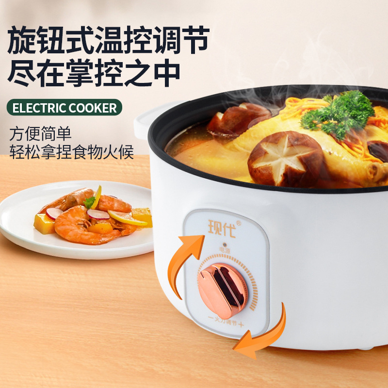 Multifunctionele mini elektris - Home Cooking Appliances recensie en prijs